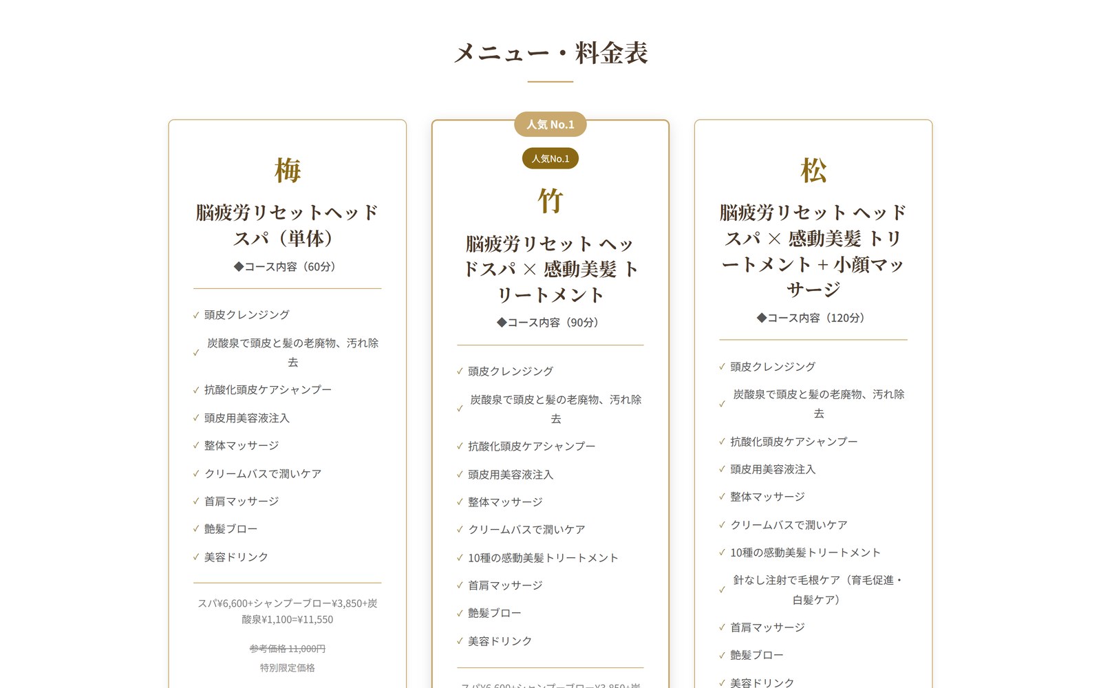 制作したサロン集客LPの料金表セクション。3プランの内容と価格を比較できる構成